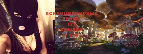спиды Арсеньев